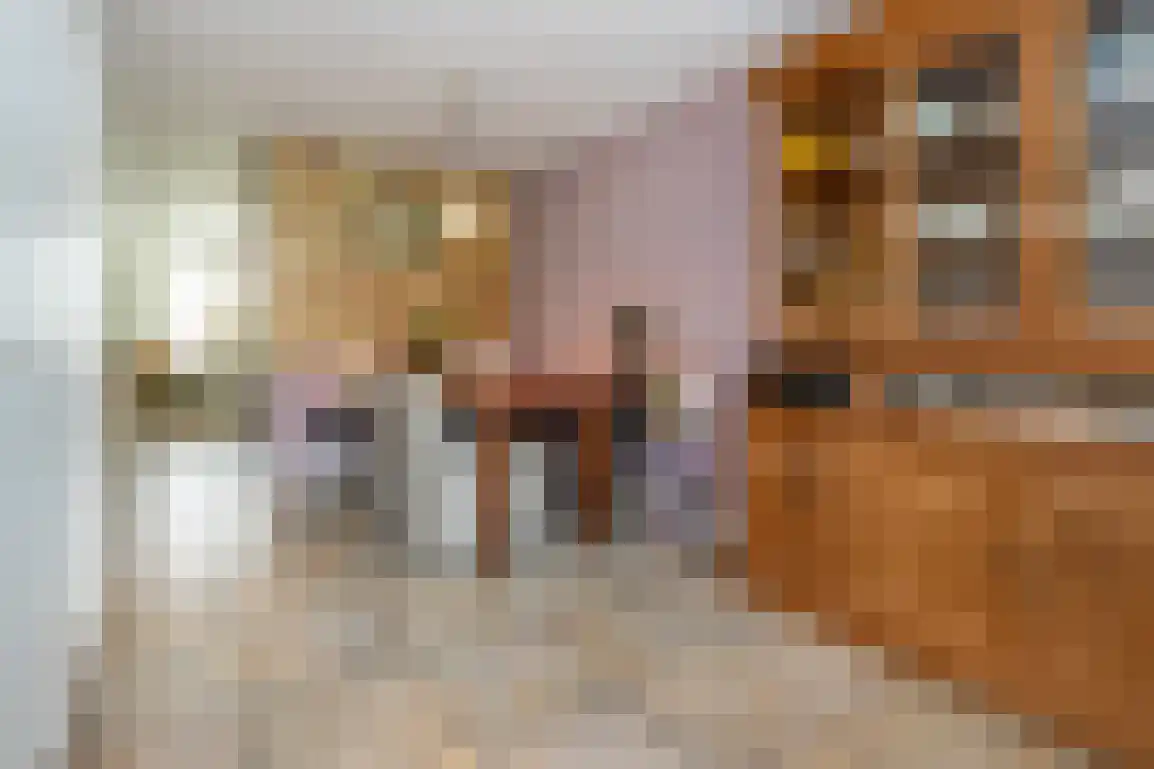 Sweelinckstraat 3 Dirksland thumbnail 15