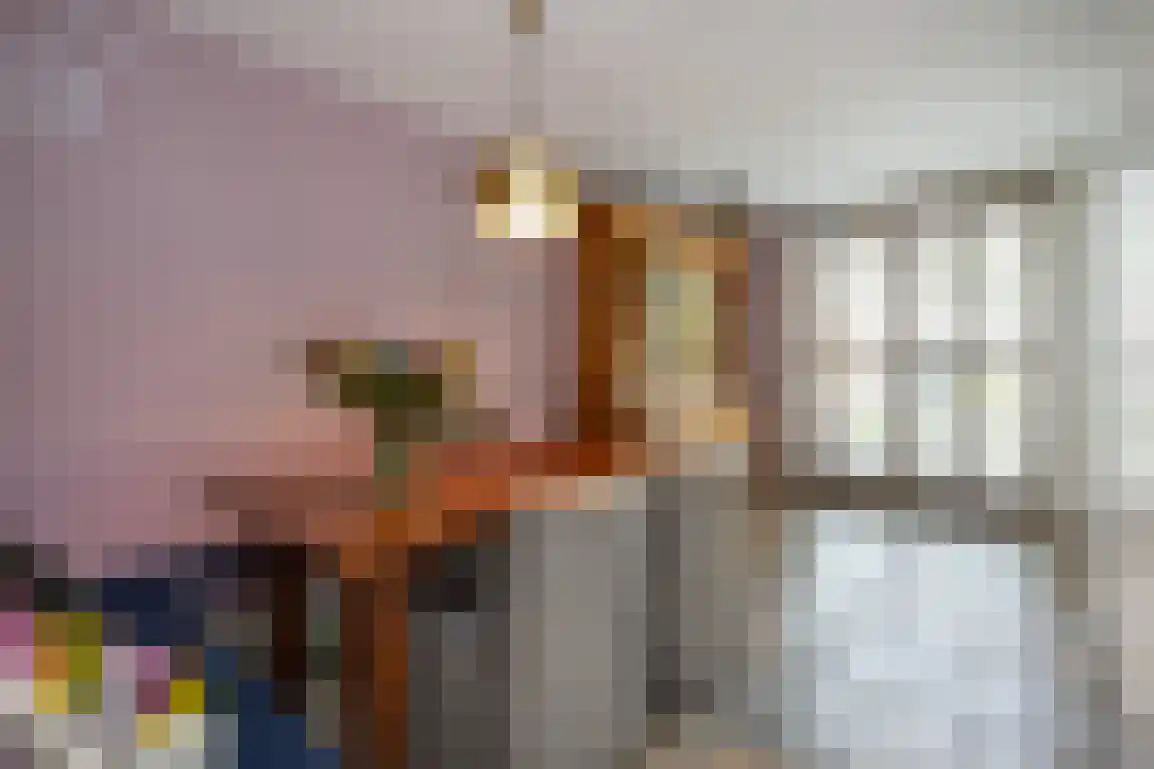 Sweelinckstraat 3 Dirksland thumbnail 16