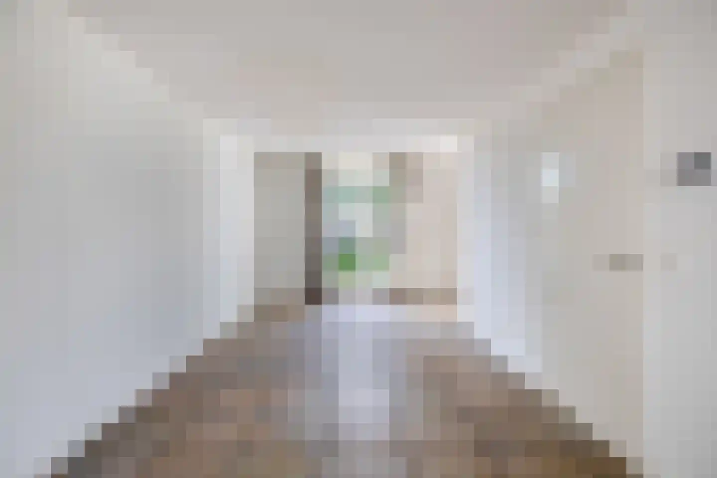 Sweelinckstraat 3 Dirksland thumbnail 16