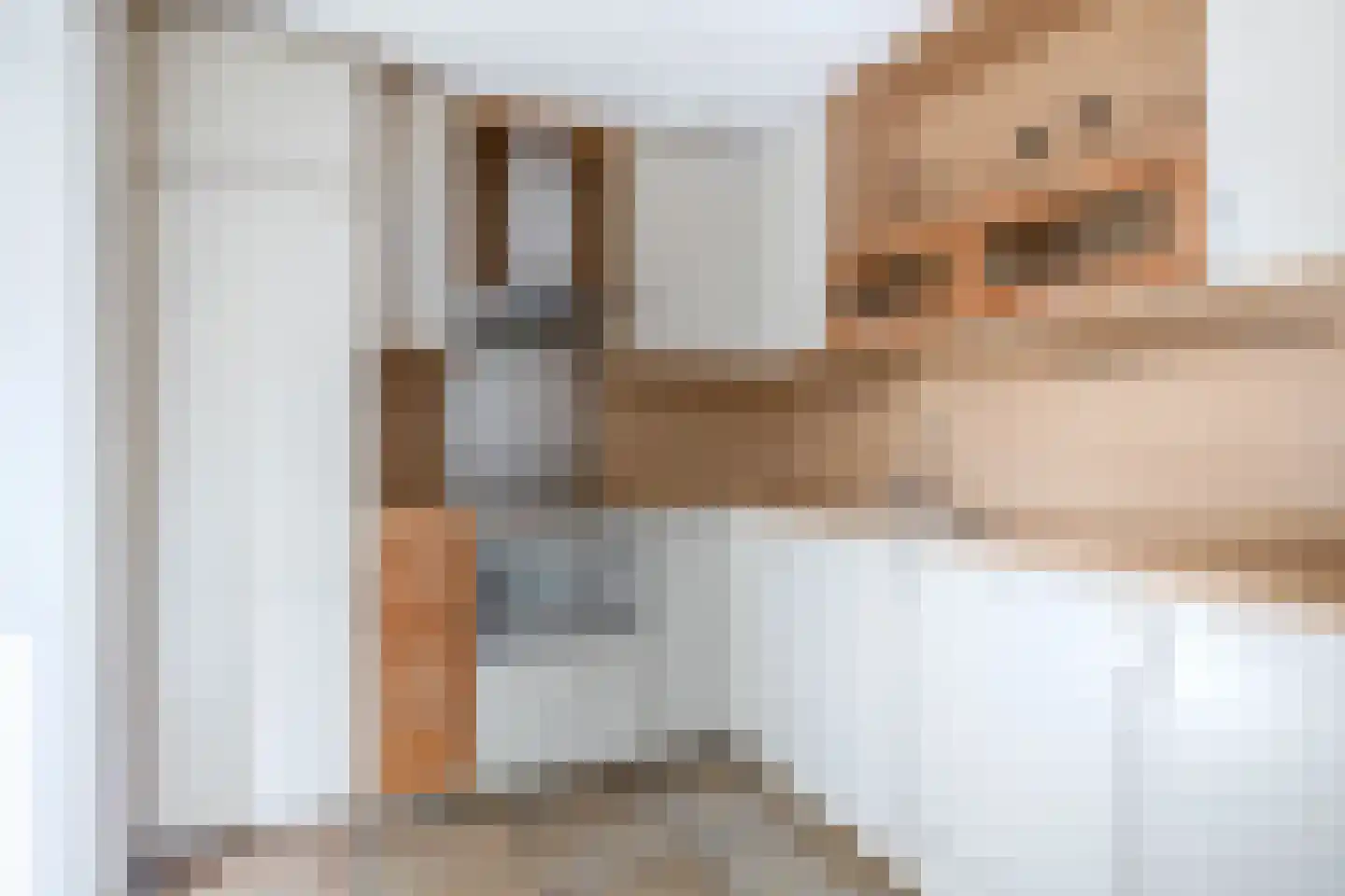 Sweelinckstraat 3 Dirksland thumbnail 17