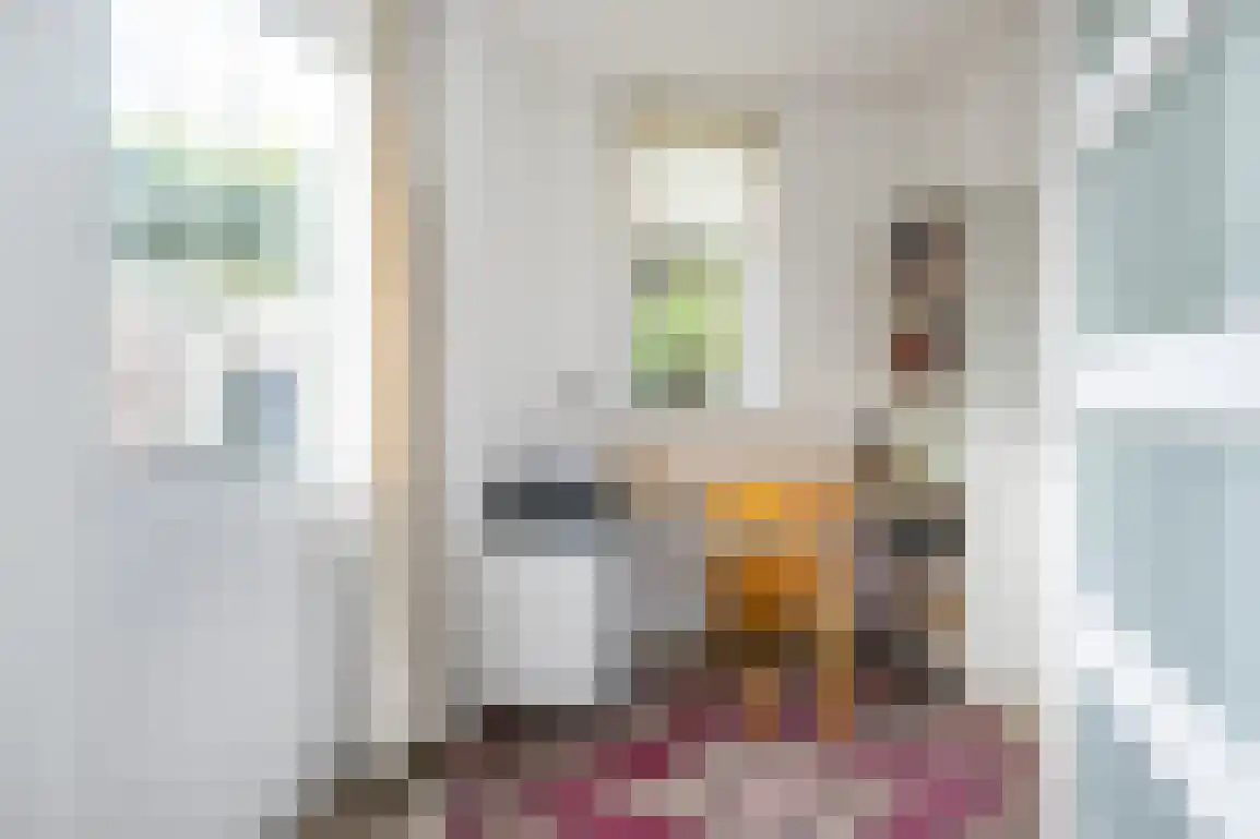Sweelinckstraat 3 Dirksland thumbnail 19