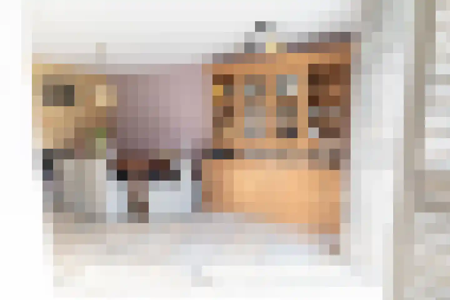 Sweelinckstraat 3 Dirksland thumbnail 20