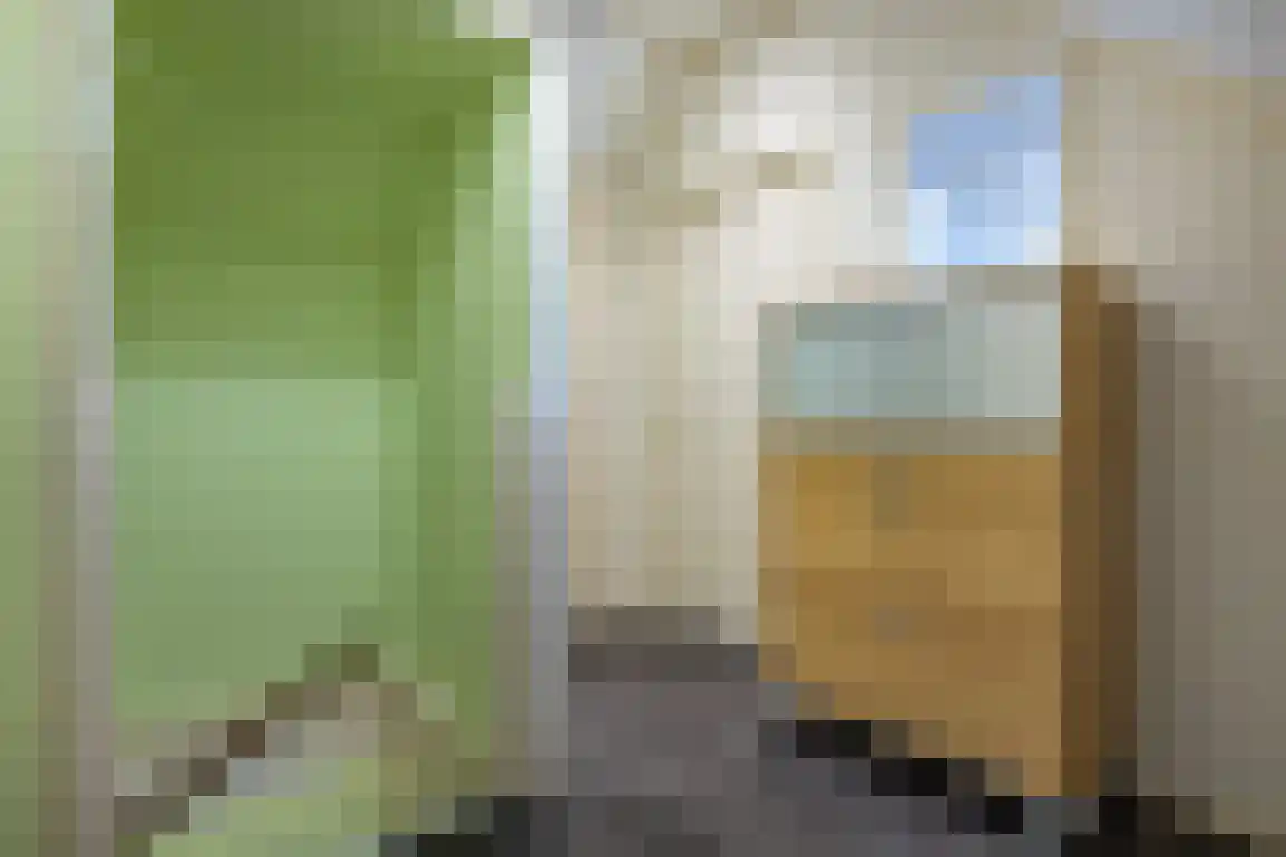 Sweelinckstraat 3 Dirksland thumbnail 30