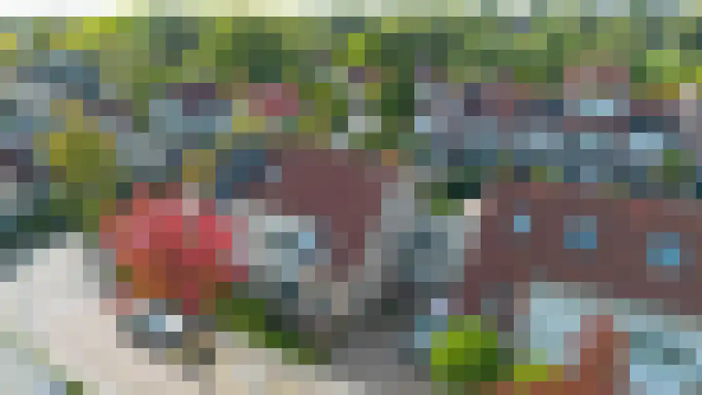 Sweelinckstraat 3 Dirksland thumbnail 30