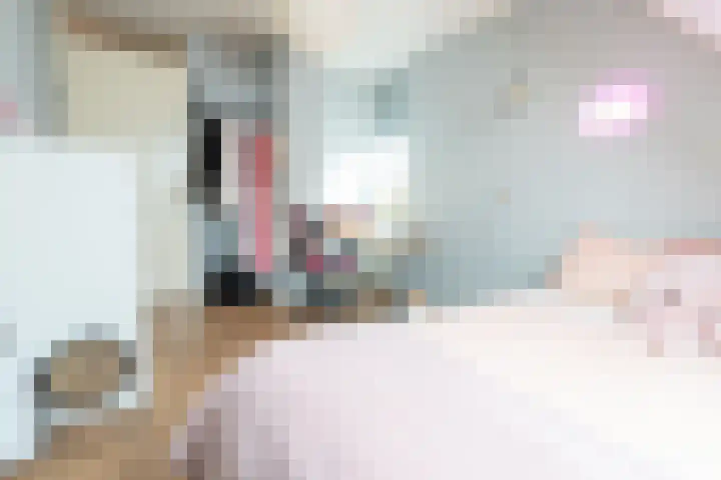 Sweelinckstraat 3 Dirksland thumbnail 32