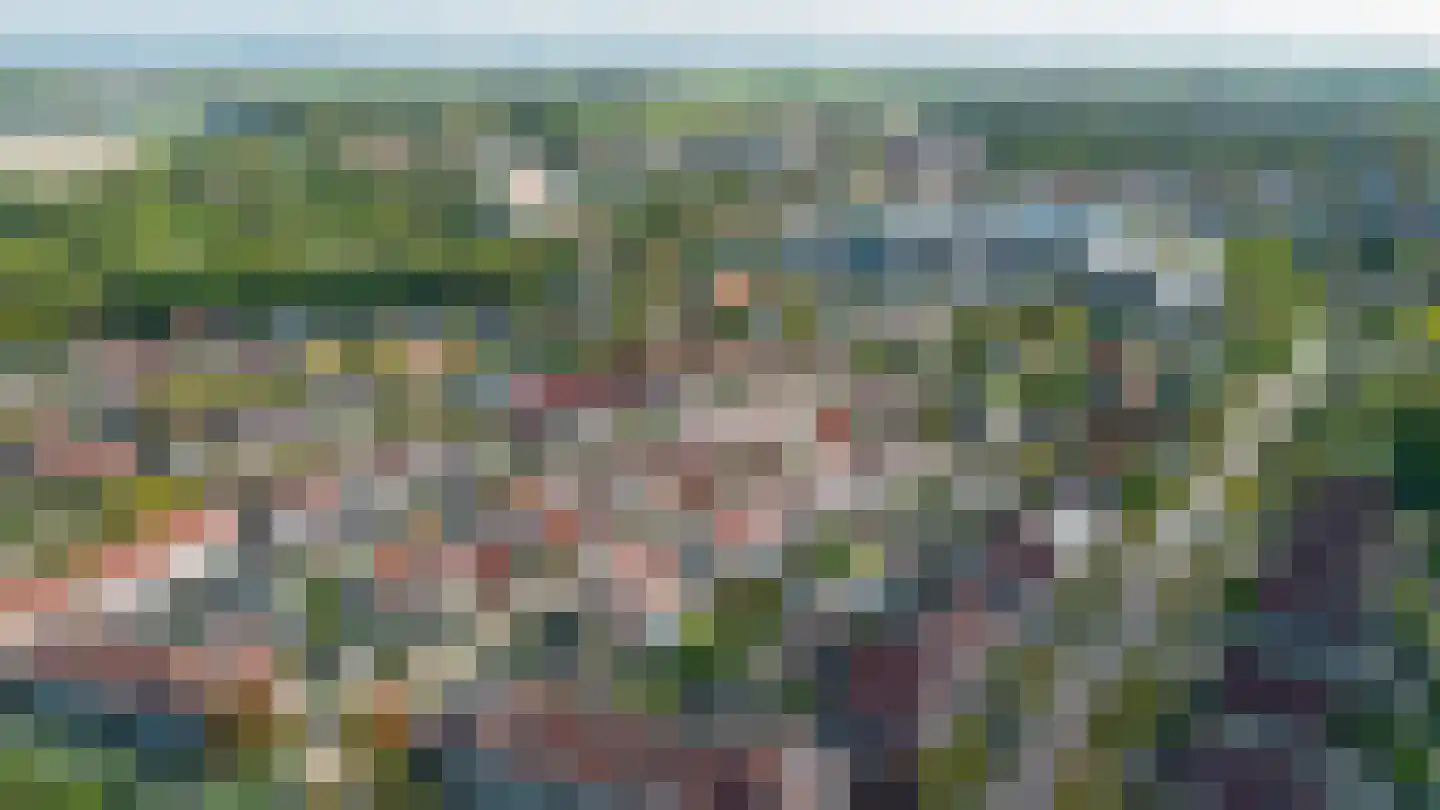 Sweelinckstraat 3 Dirksland thumbnail 33