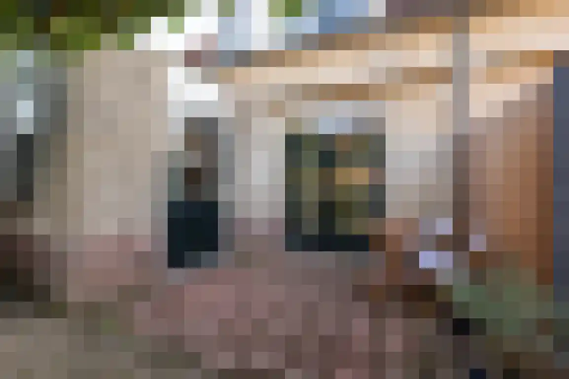 Sweelinckstraat 3 Dirksland thumbnail 34