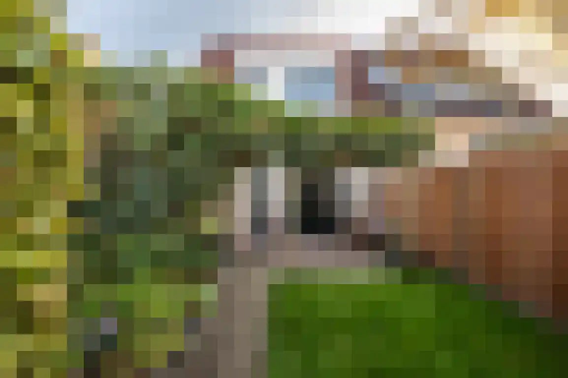 Sweelinckstraat 3 Dirksland thumbnail 35