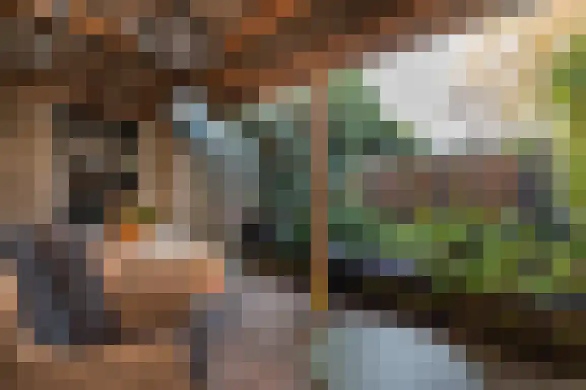 Sweelinckstraat 3 Dirksland thumbnail 38