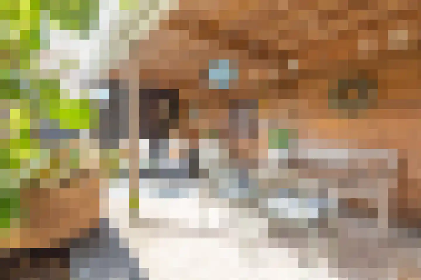 Sweelinckstraat 3 Dirksland thumbnail 4