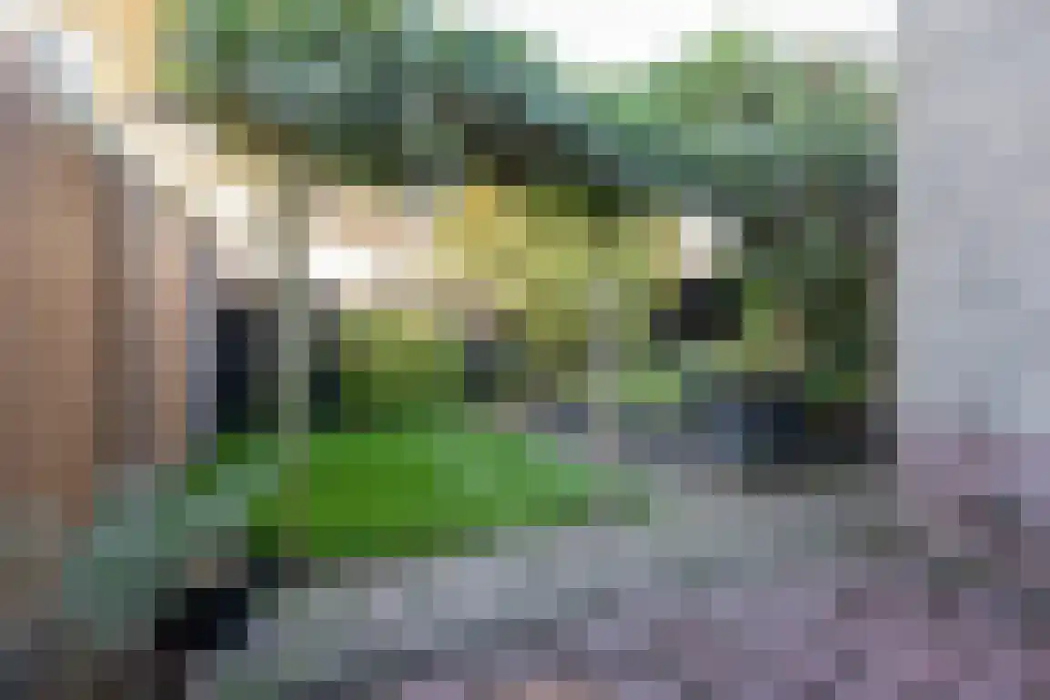 Sweelinckstraat 3 Dirksland thumbnail 4