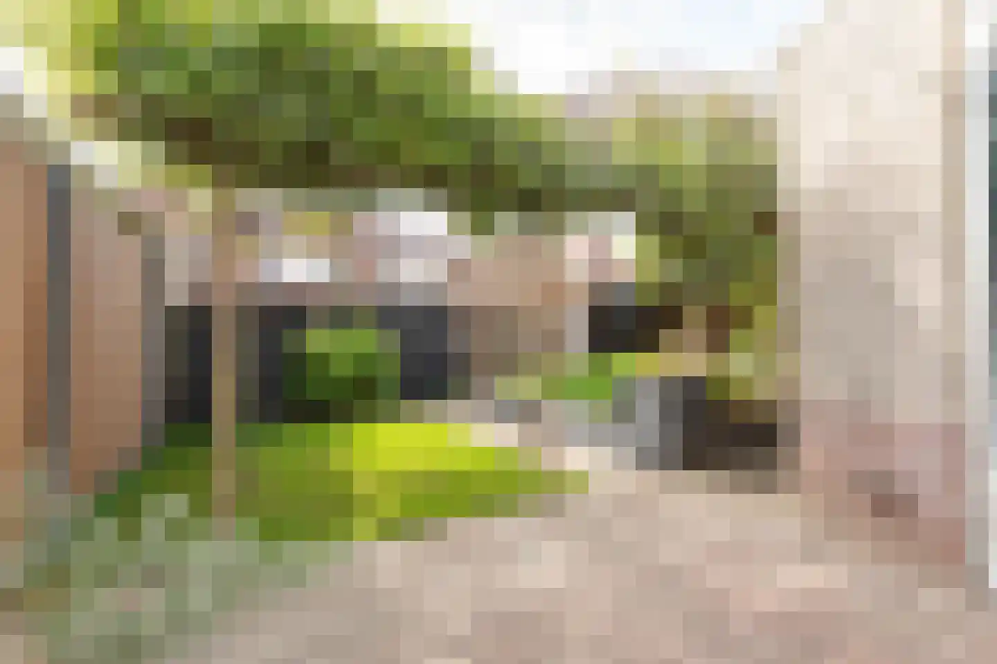 Sweelinckstraat 3 Dirksland thumbnail 45