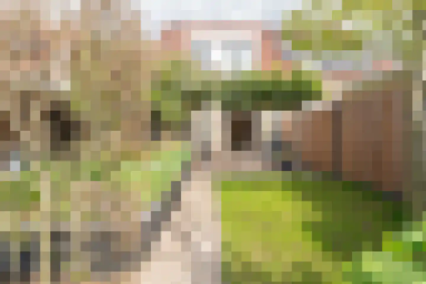 Sweelinckstraat 3 Dirksland thumbnail 46