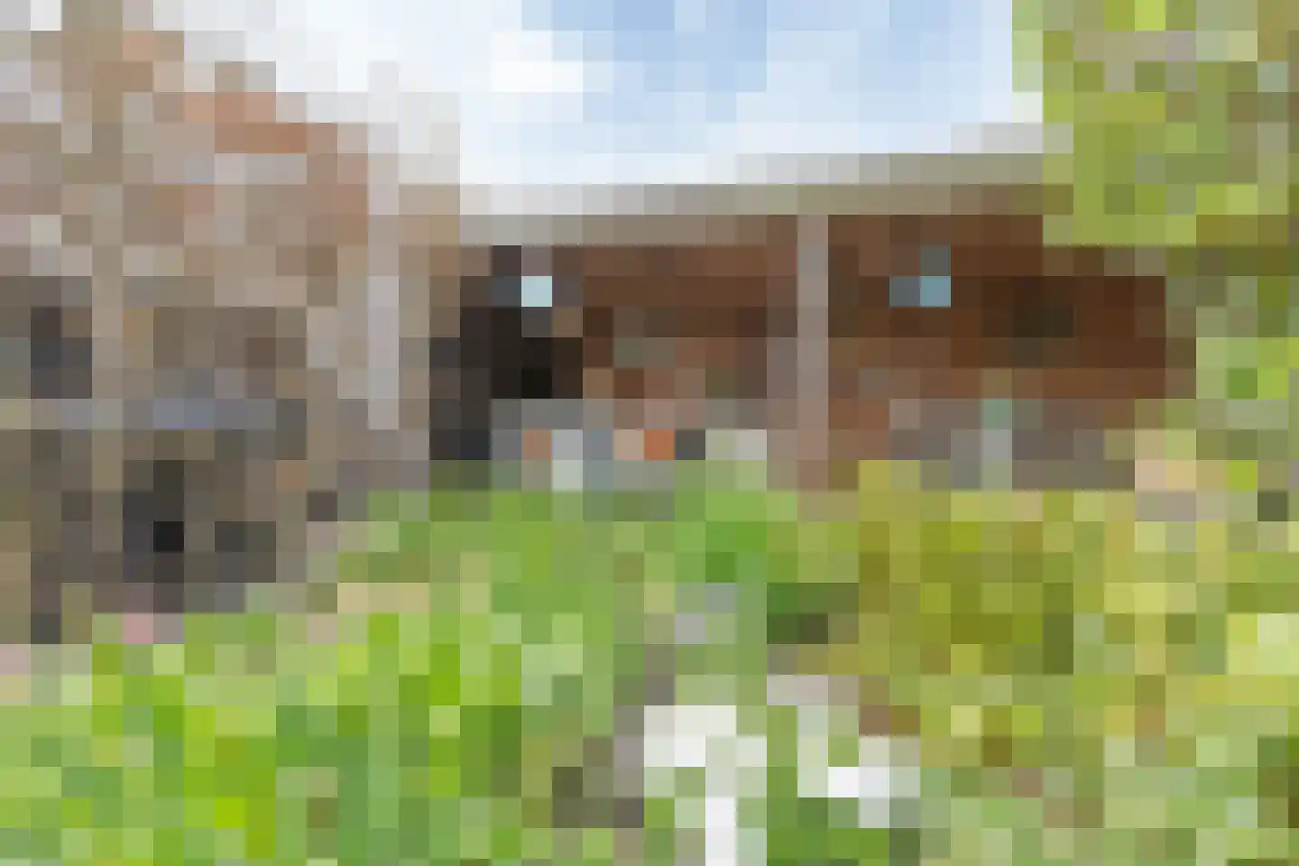 Sweelinckstraat 3 Dirksland thumbnail 47