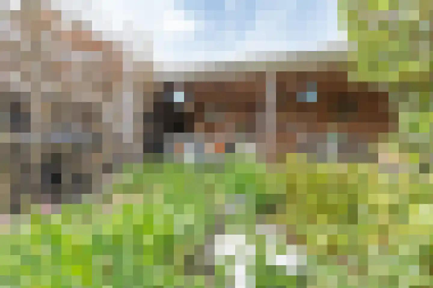 Sweelinckstraat 3 Dirksland thumbnail 47