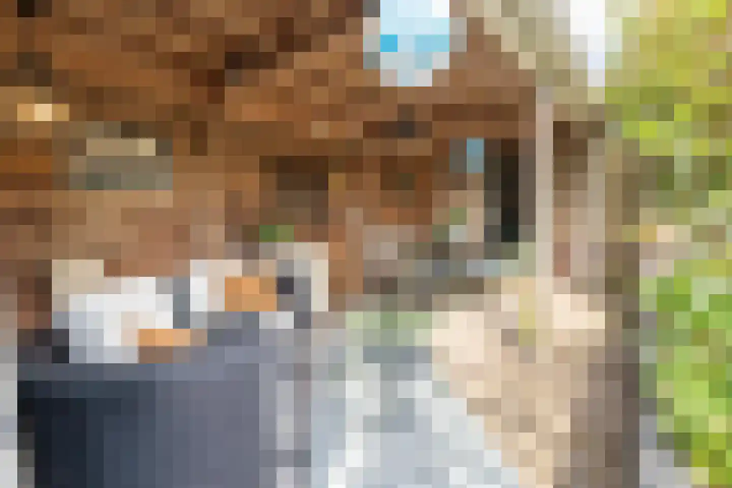 Sweelinckstraat 3 Dirksland thumbnail 48