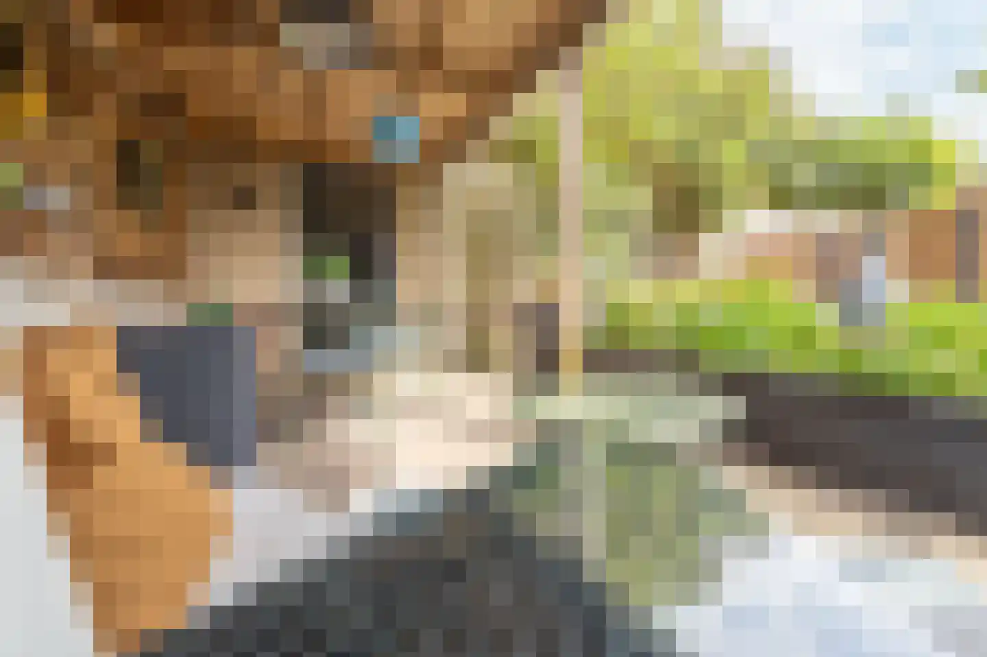 Sweelinckstraat 3 Dirksland thumbnail 51