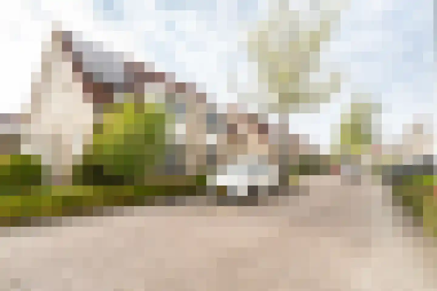 Sweelinckstraat 3 Dirksland thumbnail 52
