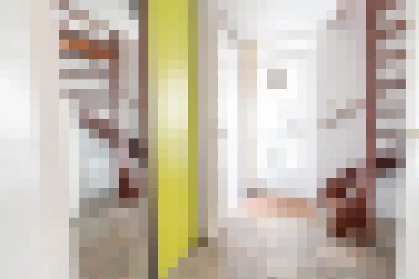 Sweelinckstraat 3 Dirksland thumbnail 9