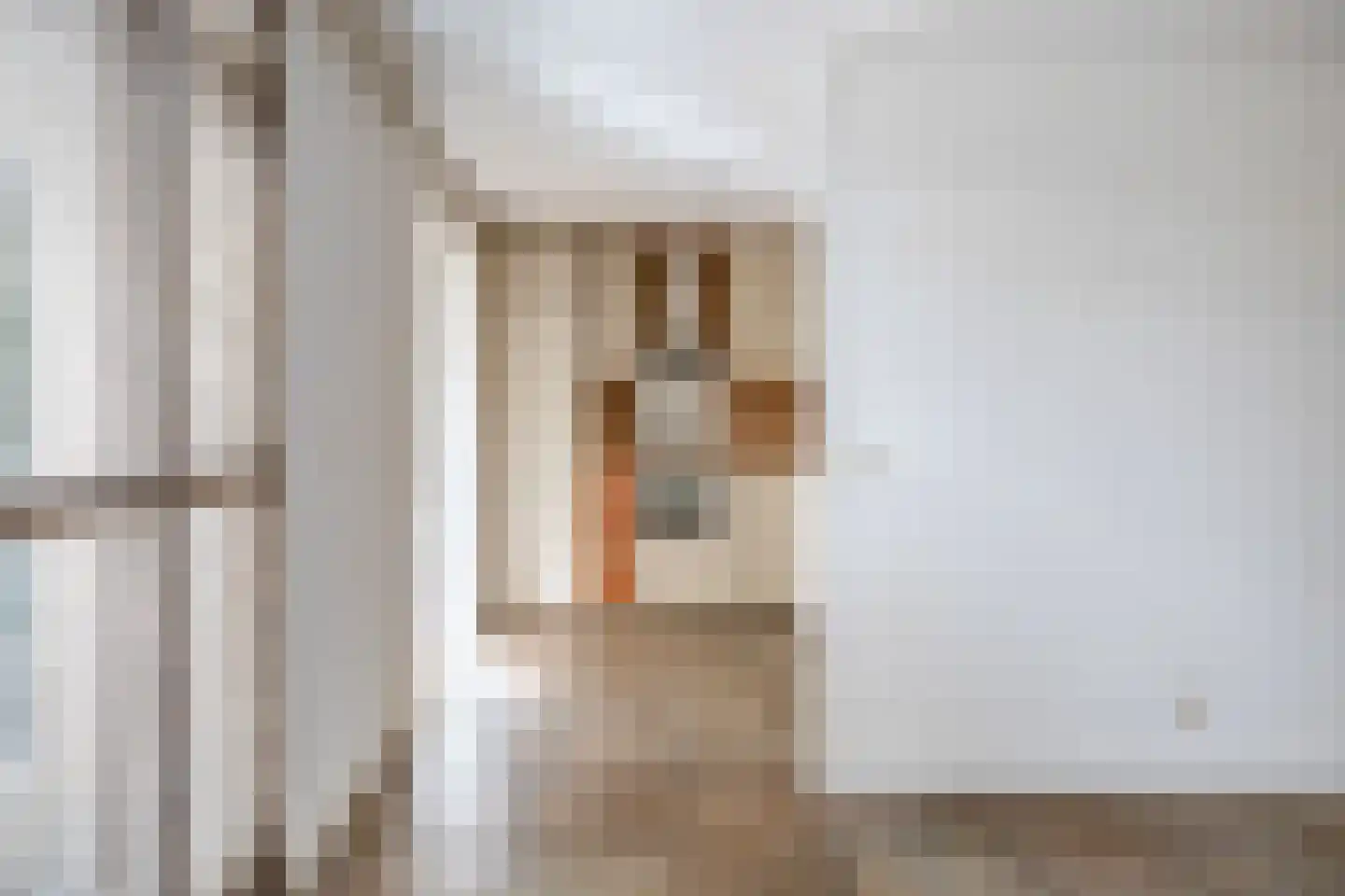 Sweelinckstraat 3 Dirksland thumbnail 9