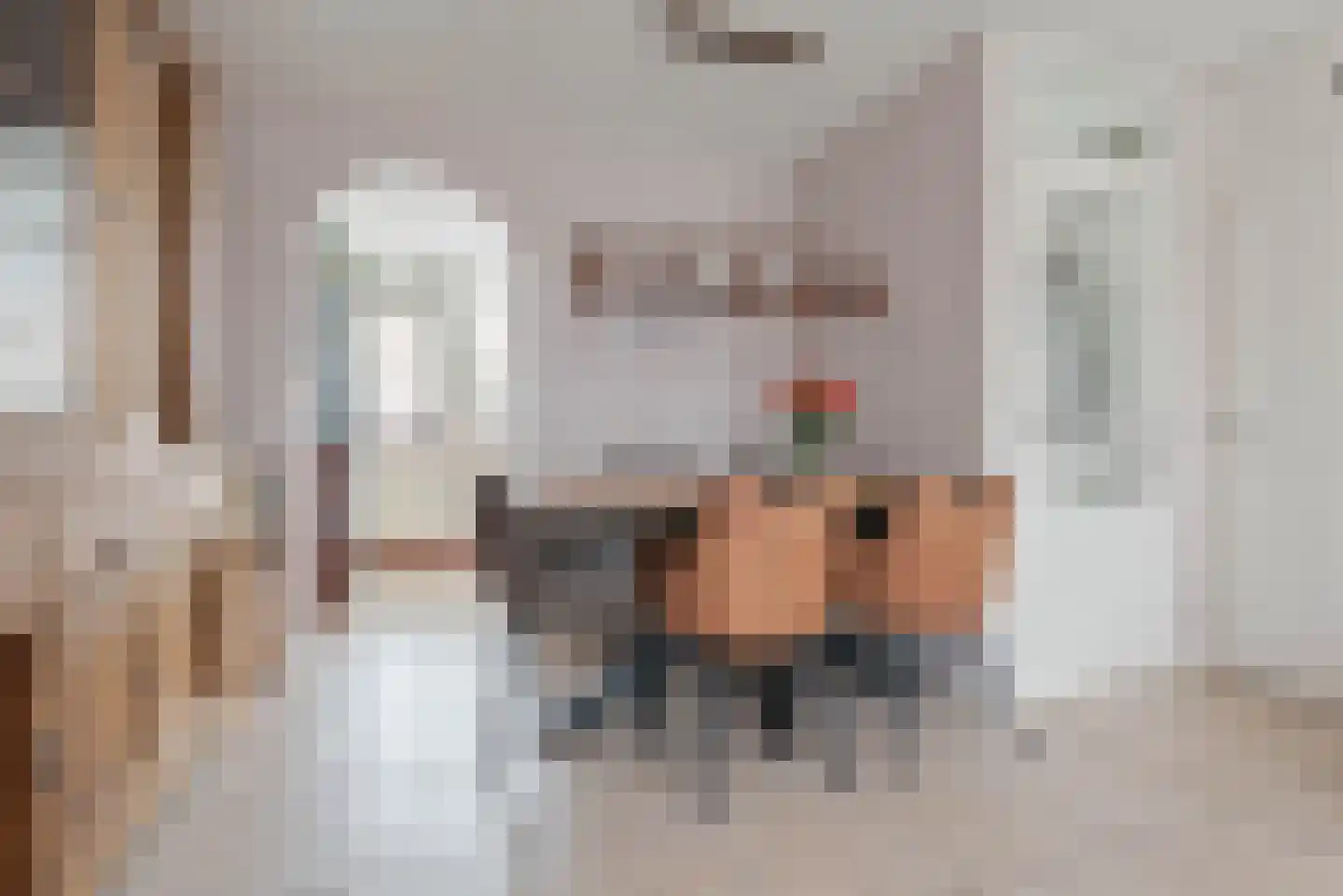 Sweelinckstraat 3 Schijndel thumbnail 11