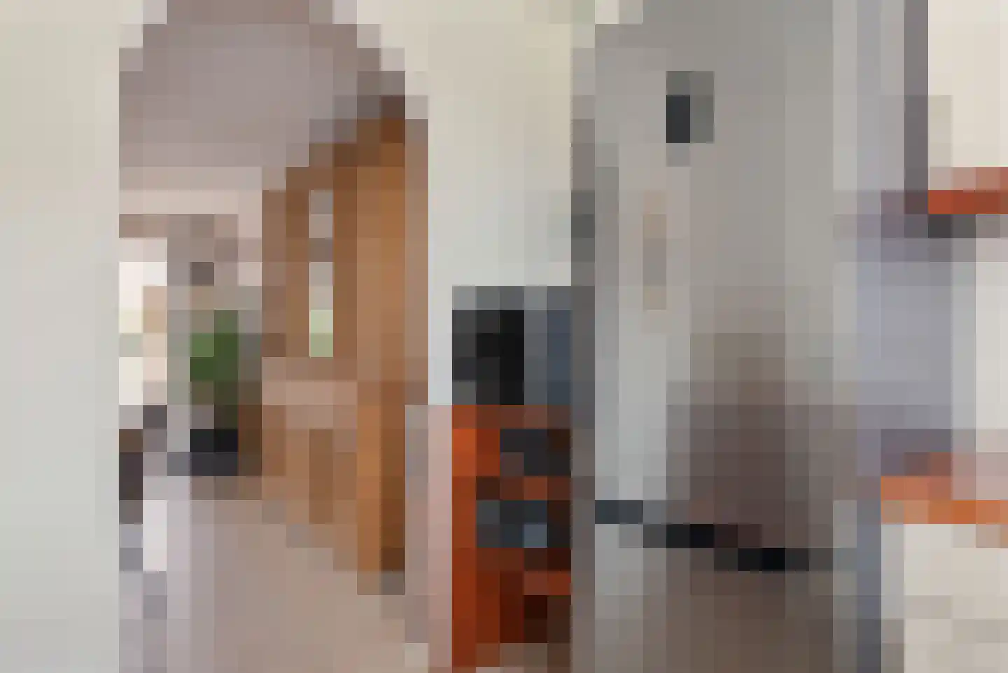 Sweelinckstraat 3 Schijndel thumbnail 20