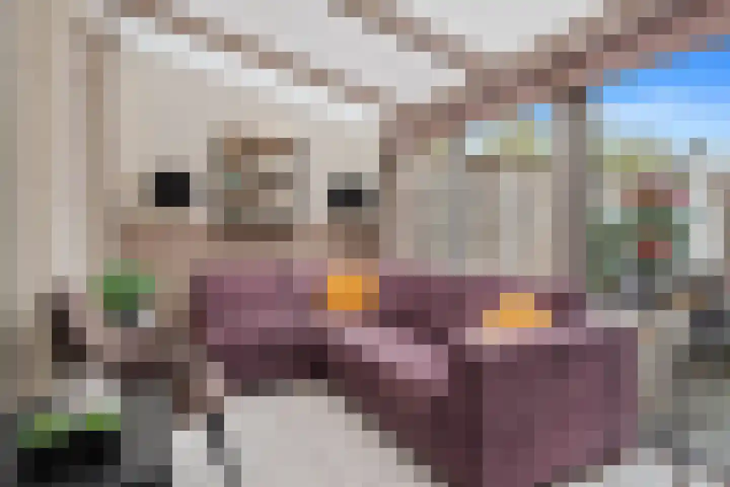 Sweelinckstraat 3 Schijndel thumbnail 21