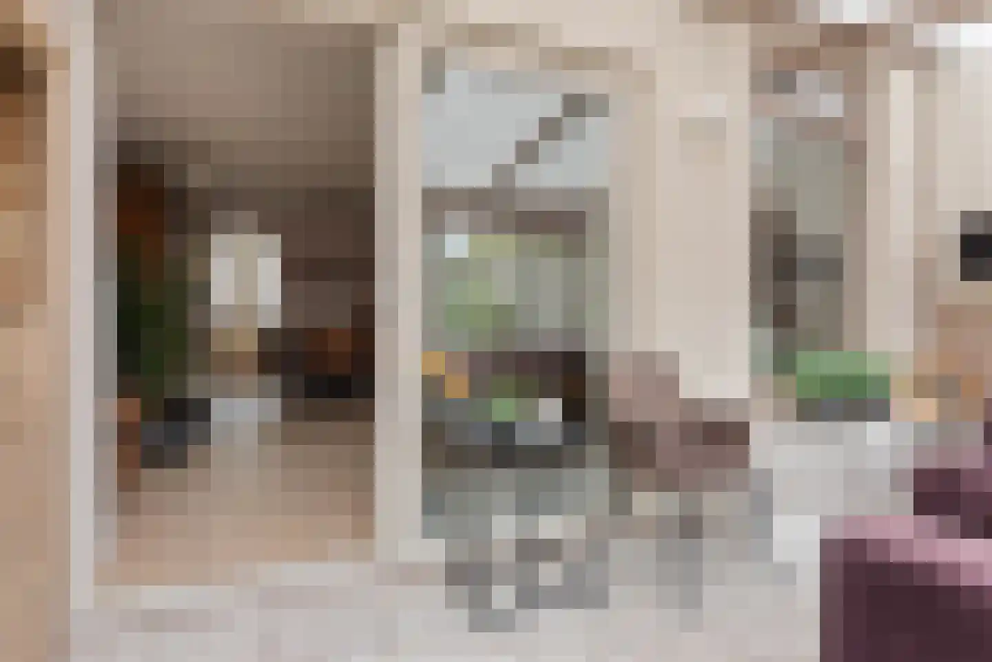 Sweelinckstraat 3 Schijndel thumbnail 23