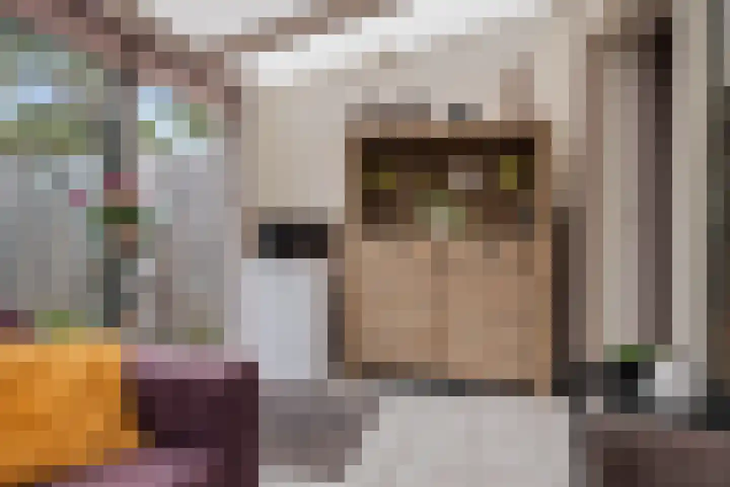 Sweelinckstraat 3 Schijndel thumbnail 24
