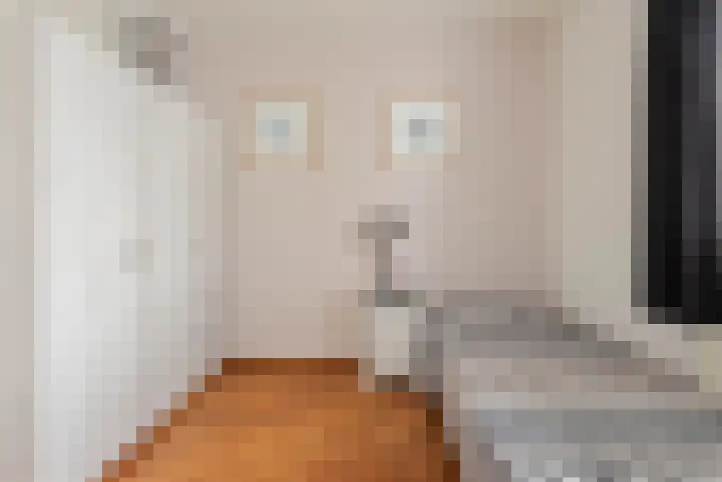 Sweelinckstraat 3 Schijndel thumbnail 30
