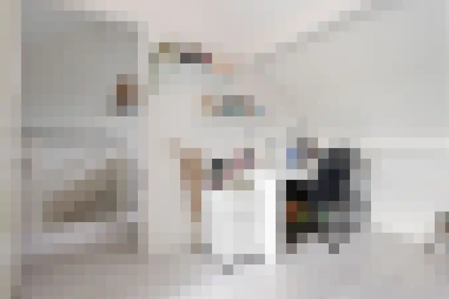 Sweelinckstraat 3 Schijndel thumbnail 38