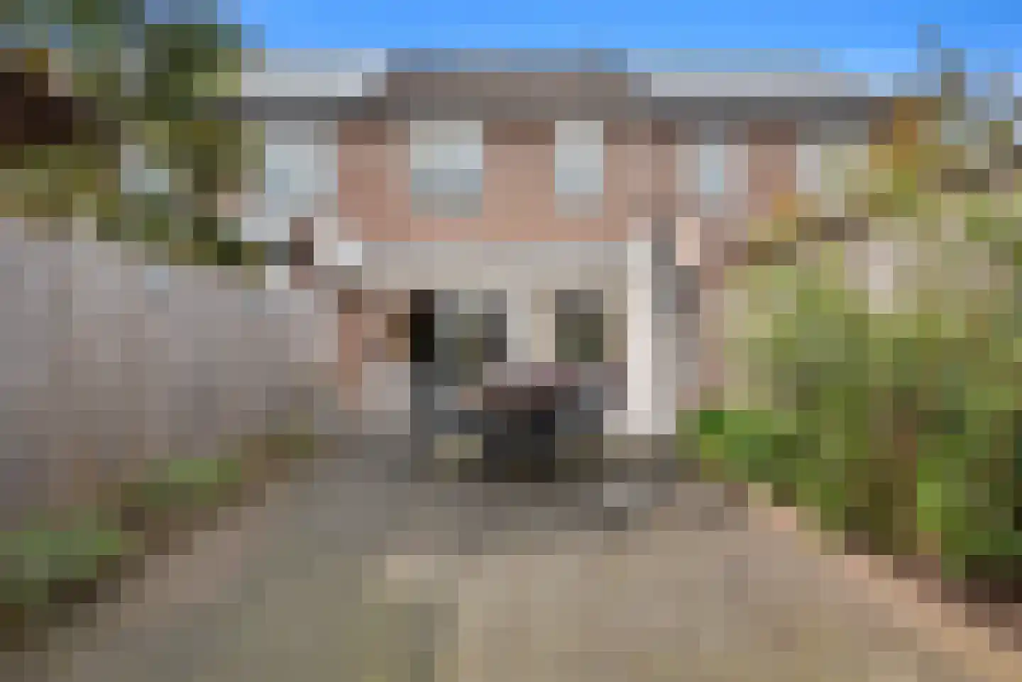 Sweelinckstraat 3 Schijndel thumbnail 40