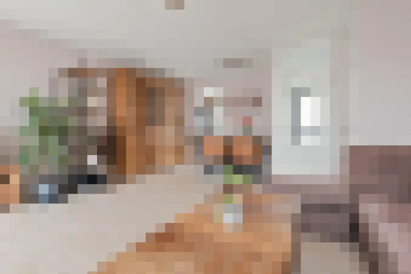 Sweelinckstraat 3 Schijndel thumbnail 8