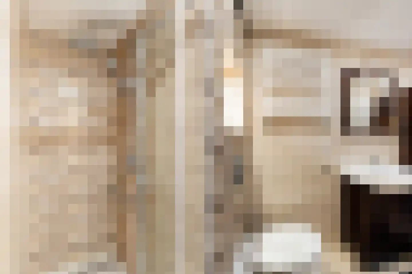 Sweelinckstraat 37 Dordrecht thumbnail 4