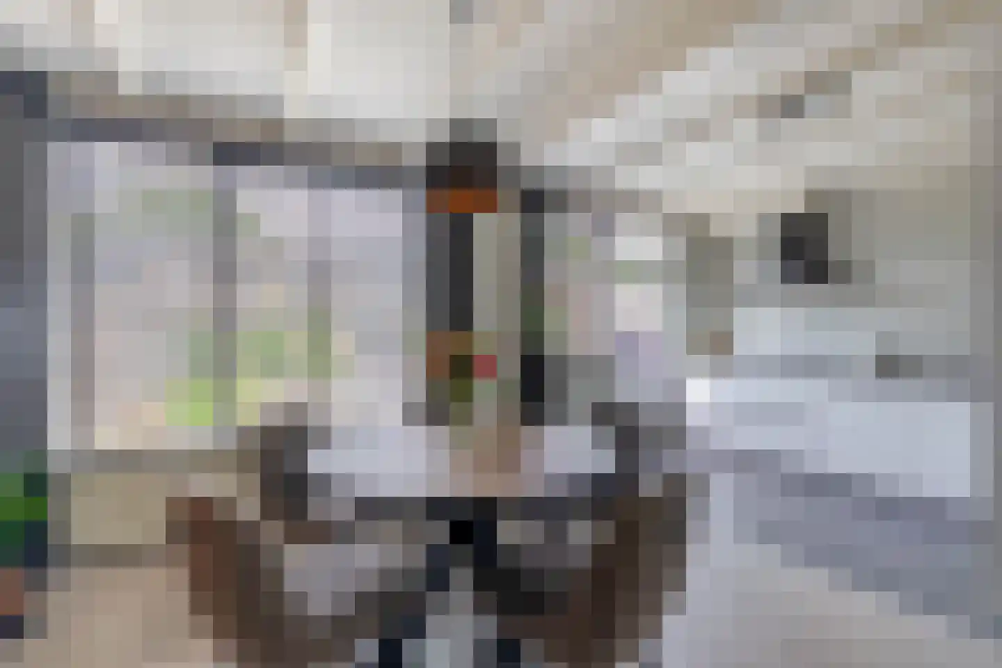 Sweelinckstraat 37 Waalwijk thumbnail 12