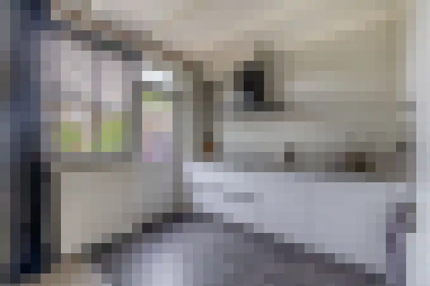 Sweelinckstraat 37 Waalwijk thumbnail 13