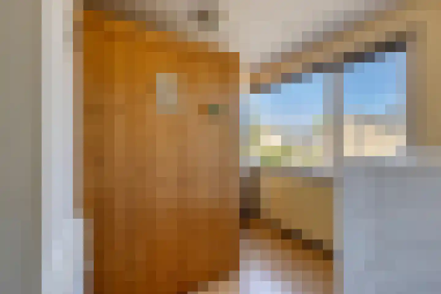 Sweelinckstraat 43 Waalwijk thumbnail 12