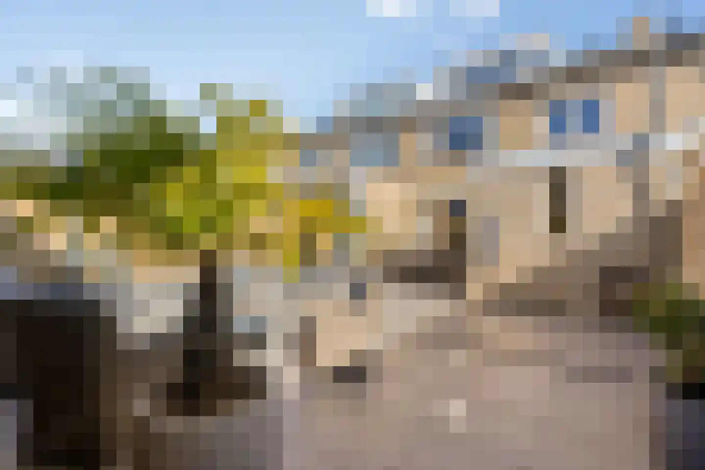 Sweelinckstraat 43 Waalwijk thumbnail 20