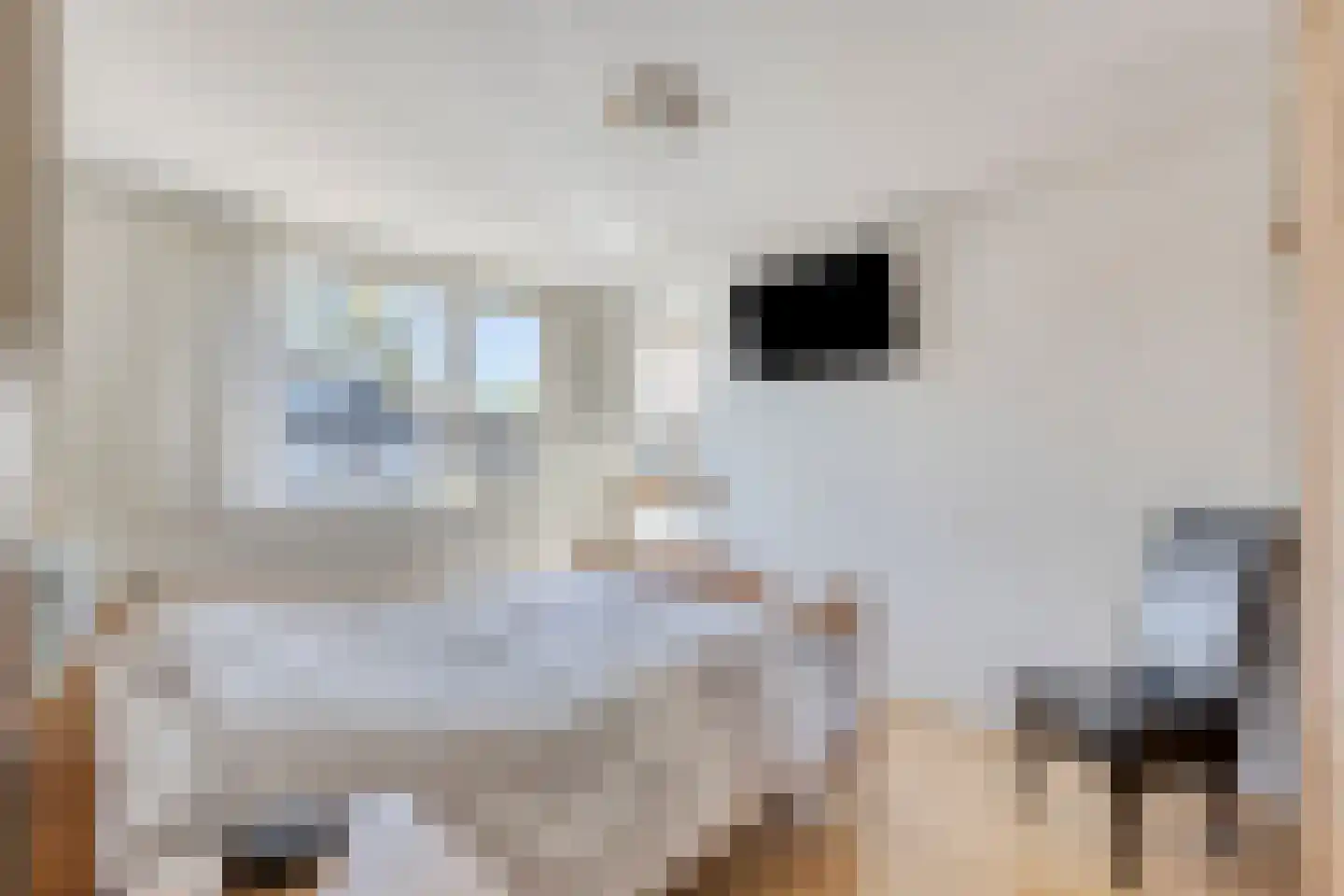 Sweelinckstraat 43 Waalwijk thumbnail 9