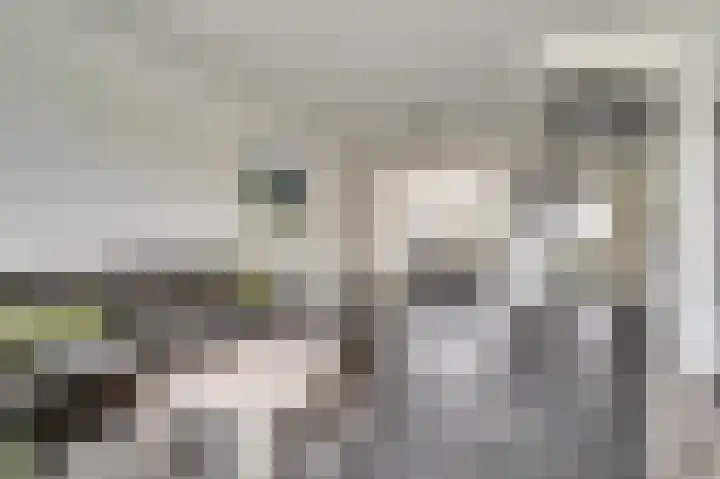 Sweelinckstraat 45 Waalwijk thumbnail 6