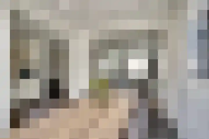 Sweelinckstraat 45 Waalwijk thumbnail 9