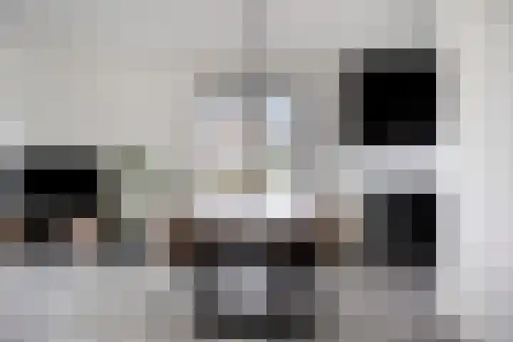 Sweelinckstraat 46 Drunen thumbnail 13