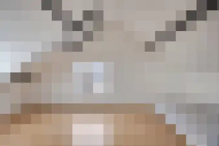 Sweelinckstraat 46 Drunen thumbnail 27