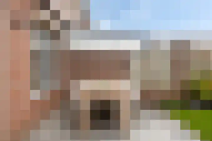 Sweelinckstraat 46 Drunen thumbnail 31