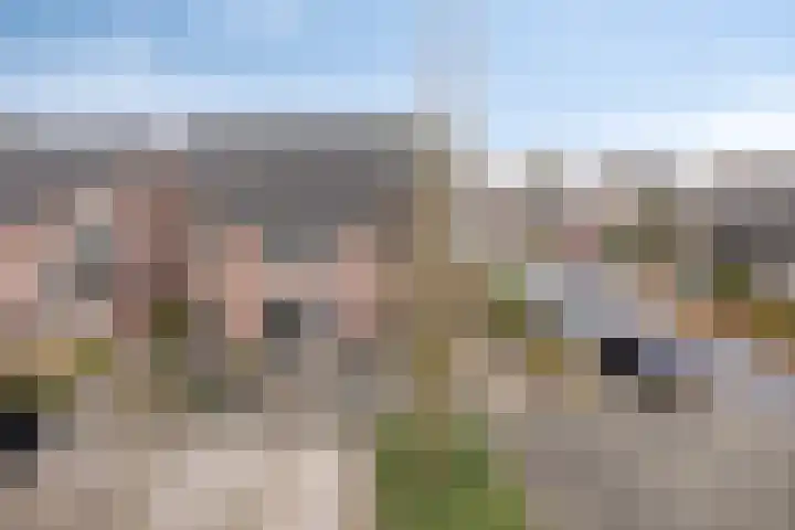 Sweelinckstraat 46 Drunen thumbnail 34