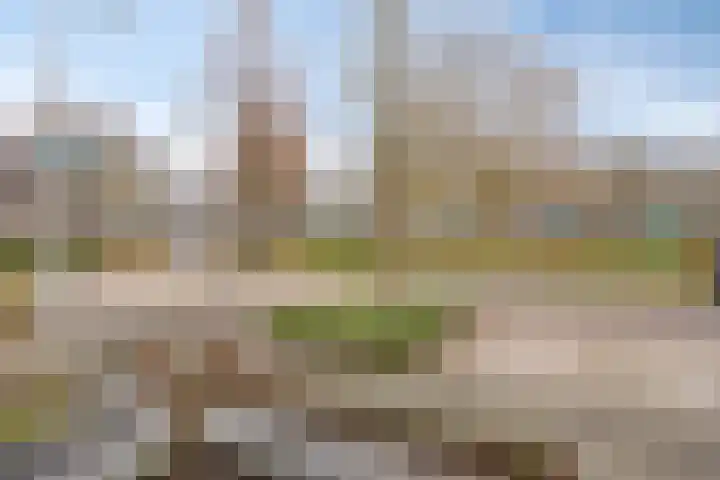 Sweelinckstraat 46 Drunen thumbnail 38