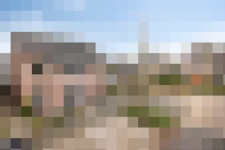 Sweelinckstraat 46 Drunen thumbnail 5