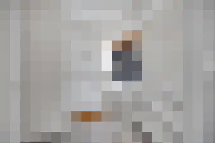 Sweelinckstraat 46 Drunen thumbnail 8