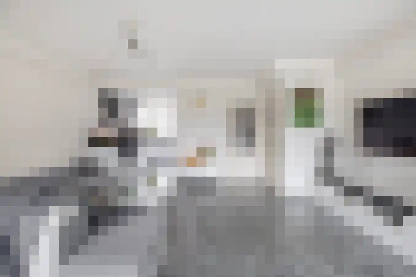 Sweelinckstraat 5 Capelle aan den IJssel thumbnail 16