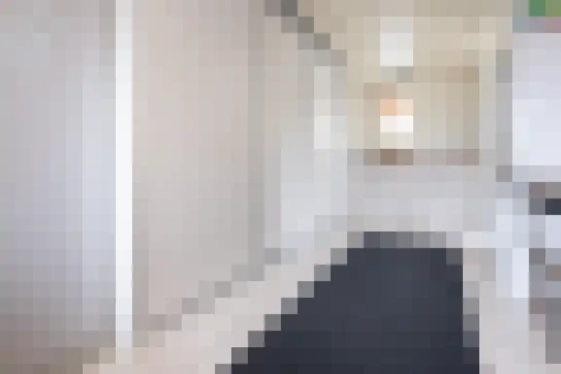 Sweelinckstraat 5 Dirksland thumbnail 15
